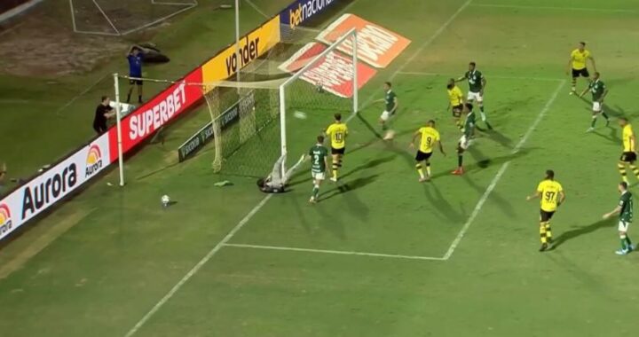 Quartou | São Bernardo FC vence 1ª em casa e sobe na Série B